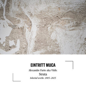 Eintritt Vhils